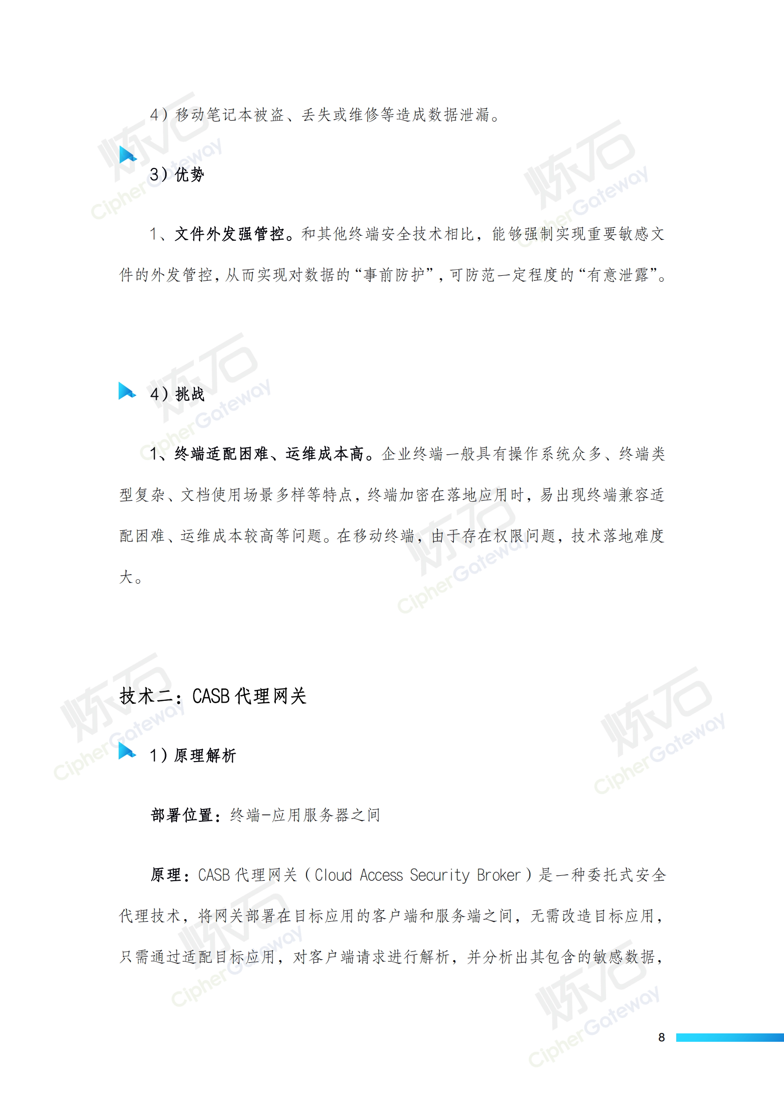 炼石-数据存储加密技术白皮书V1.1 第8页