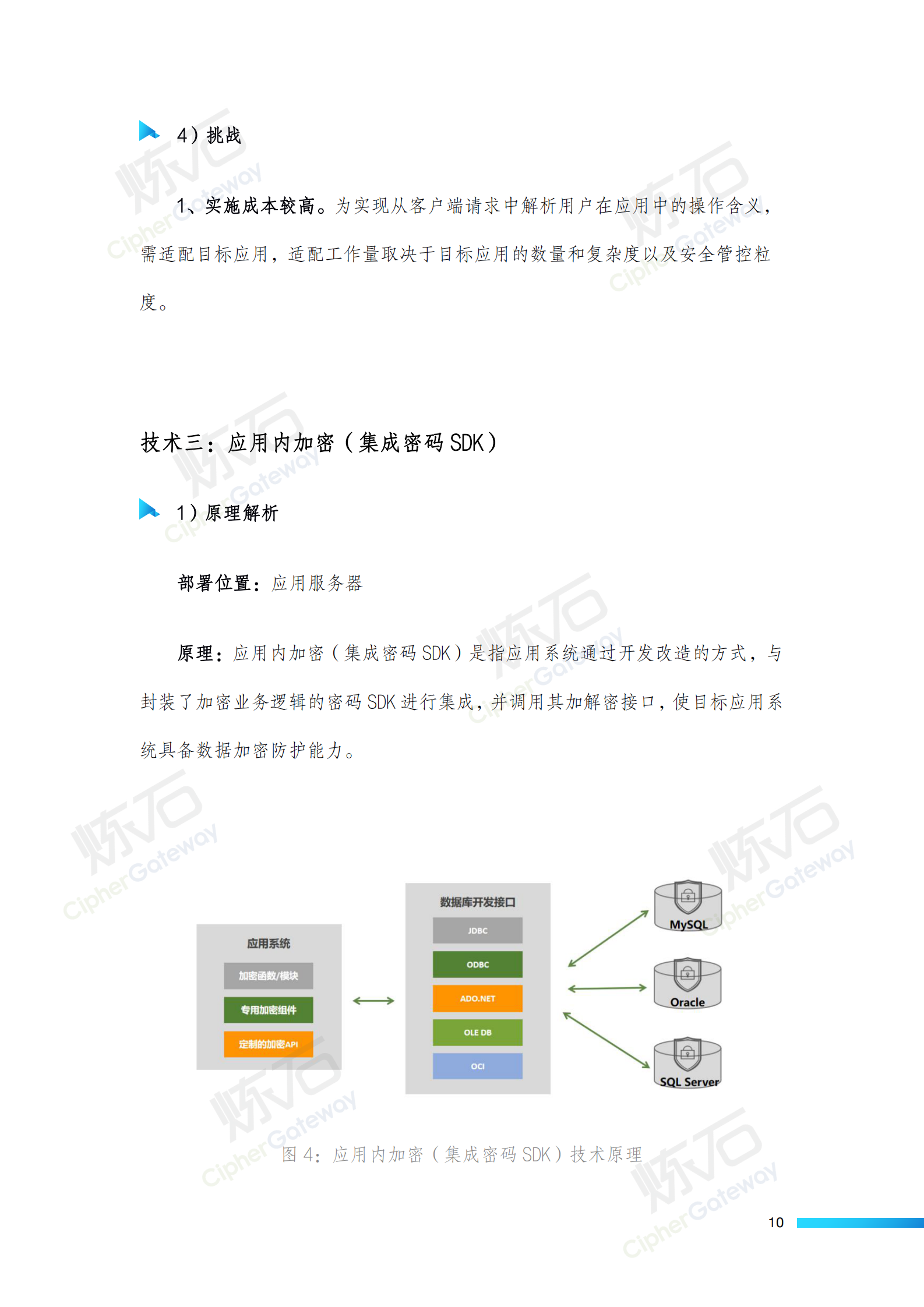 炼石-数据存储加密技术白皮书V1.1 第10页