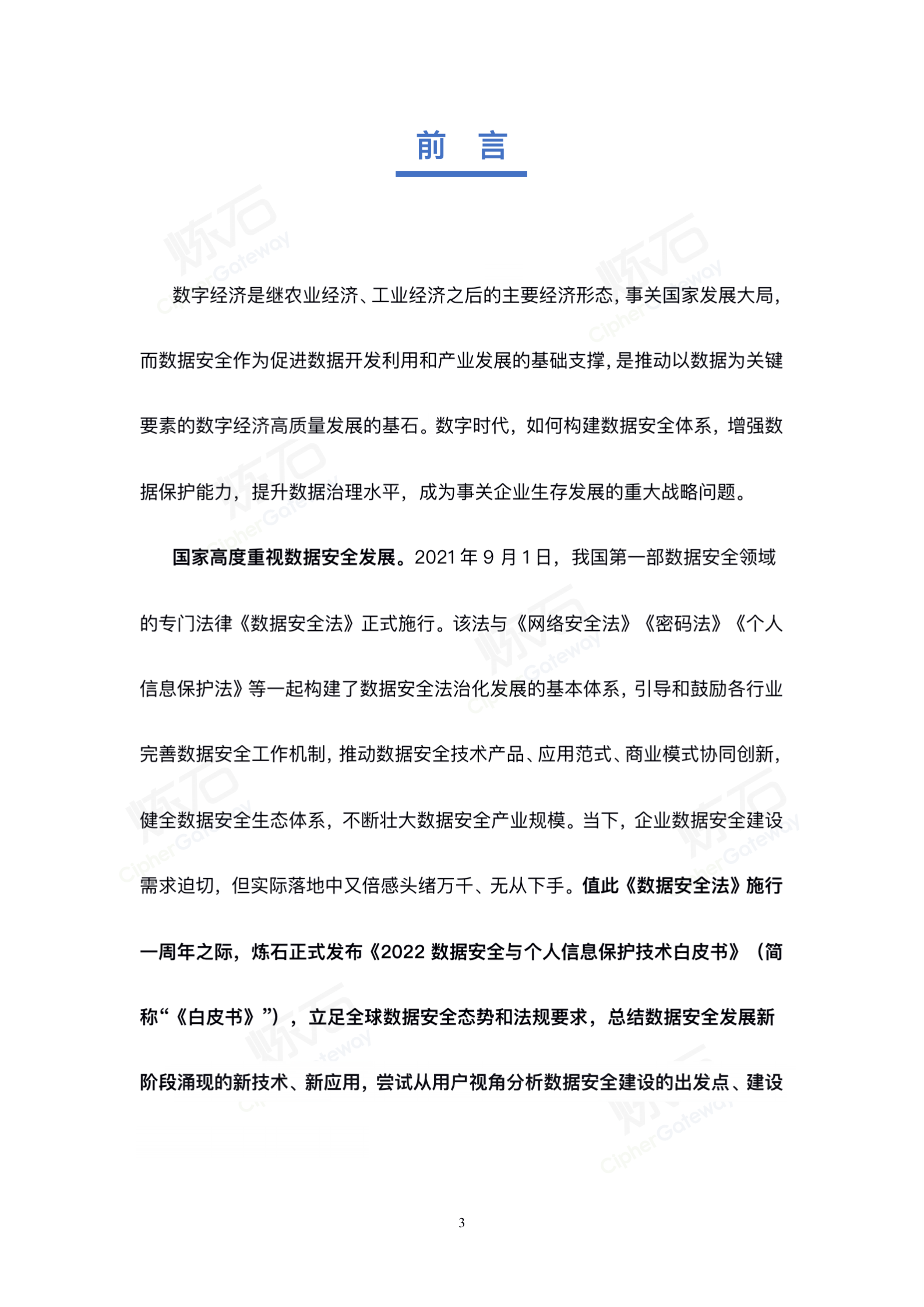 炼石-2022数据安全与个人信息保护技术白皮书V1.0.3（图片版） 第3页