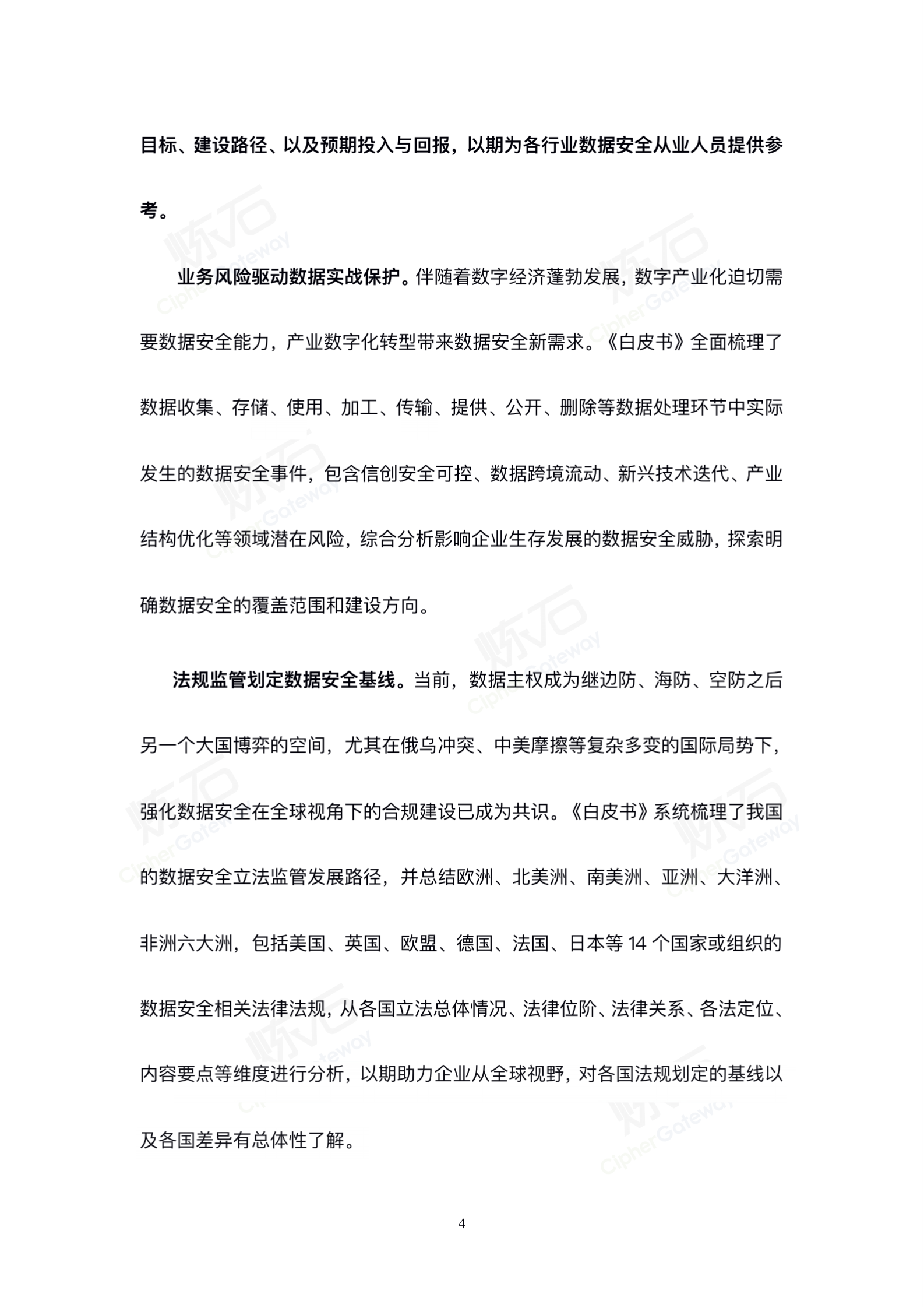 炼石-2022数据安全与个人信息保护技术白皮书V1.0.3（图片版） 第4页