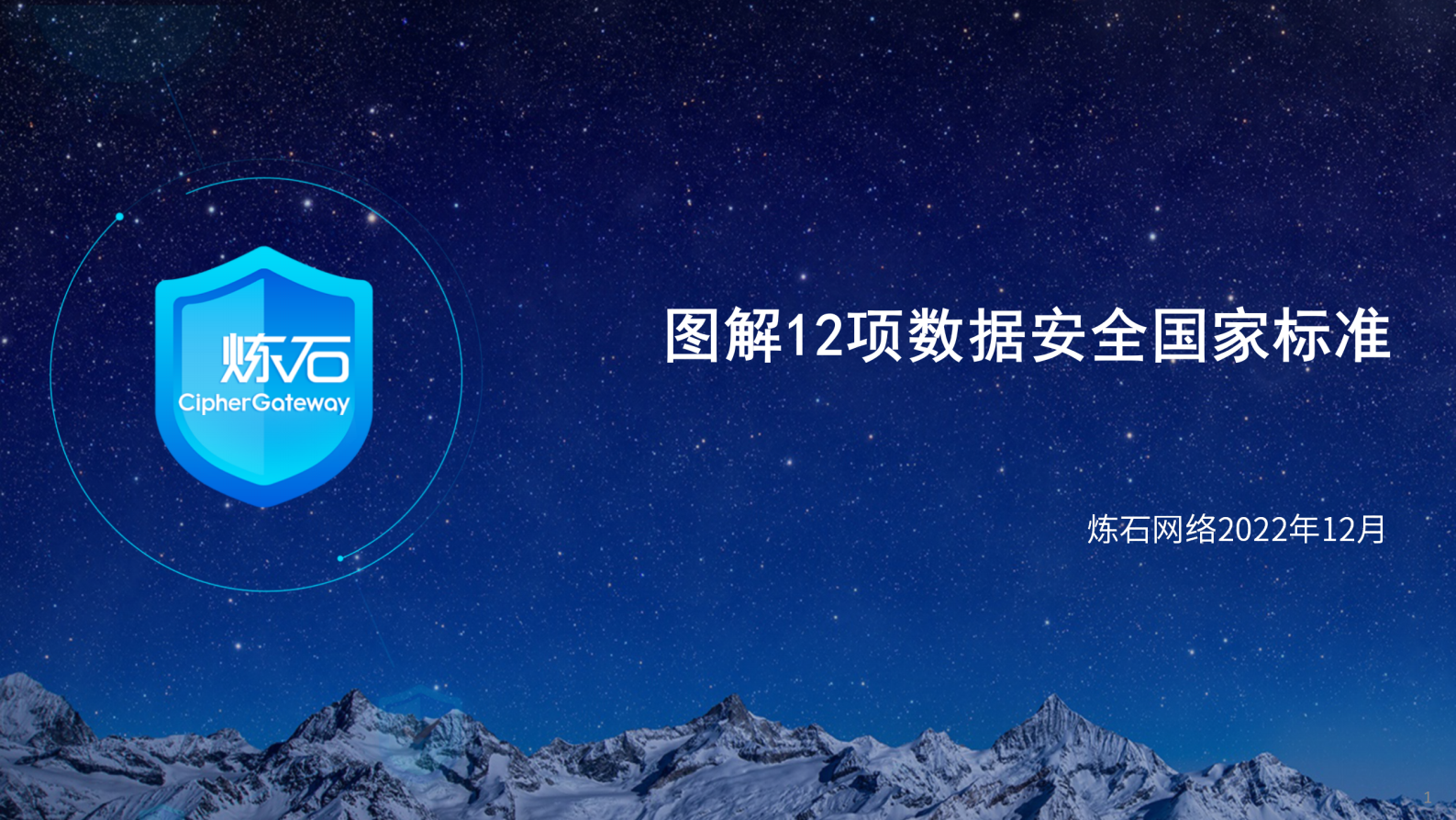 炼石-图解12项数据安全国家标准V1.0 第1页