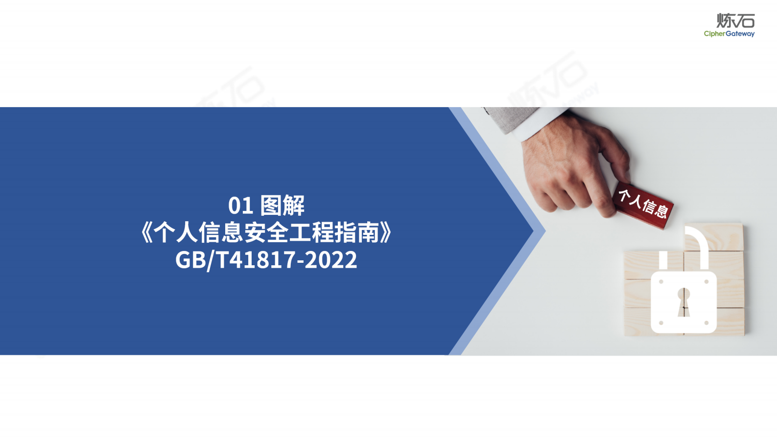 炼石-图解12项数据安全国家标准V1.0 第5页