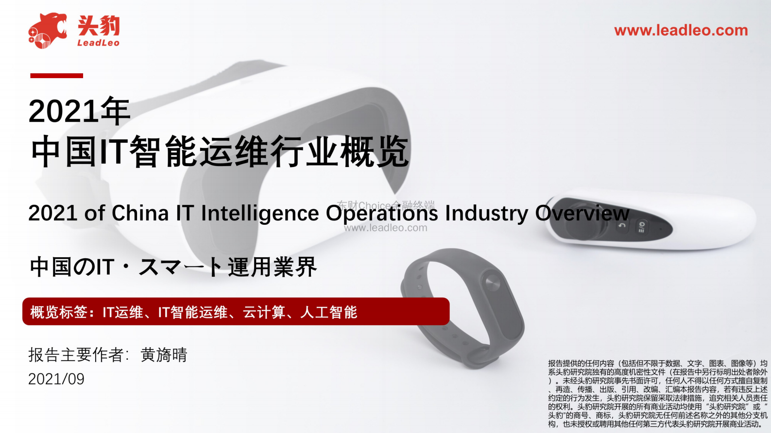 2021年中国IT智能运维行业市场分析概览 第1页
