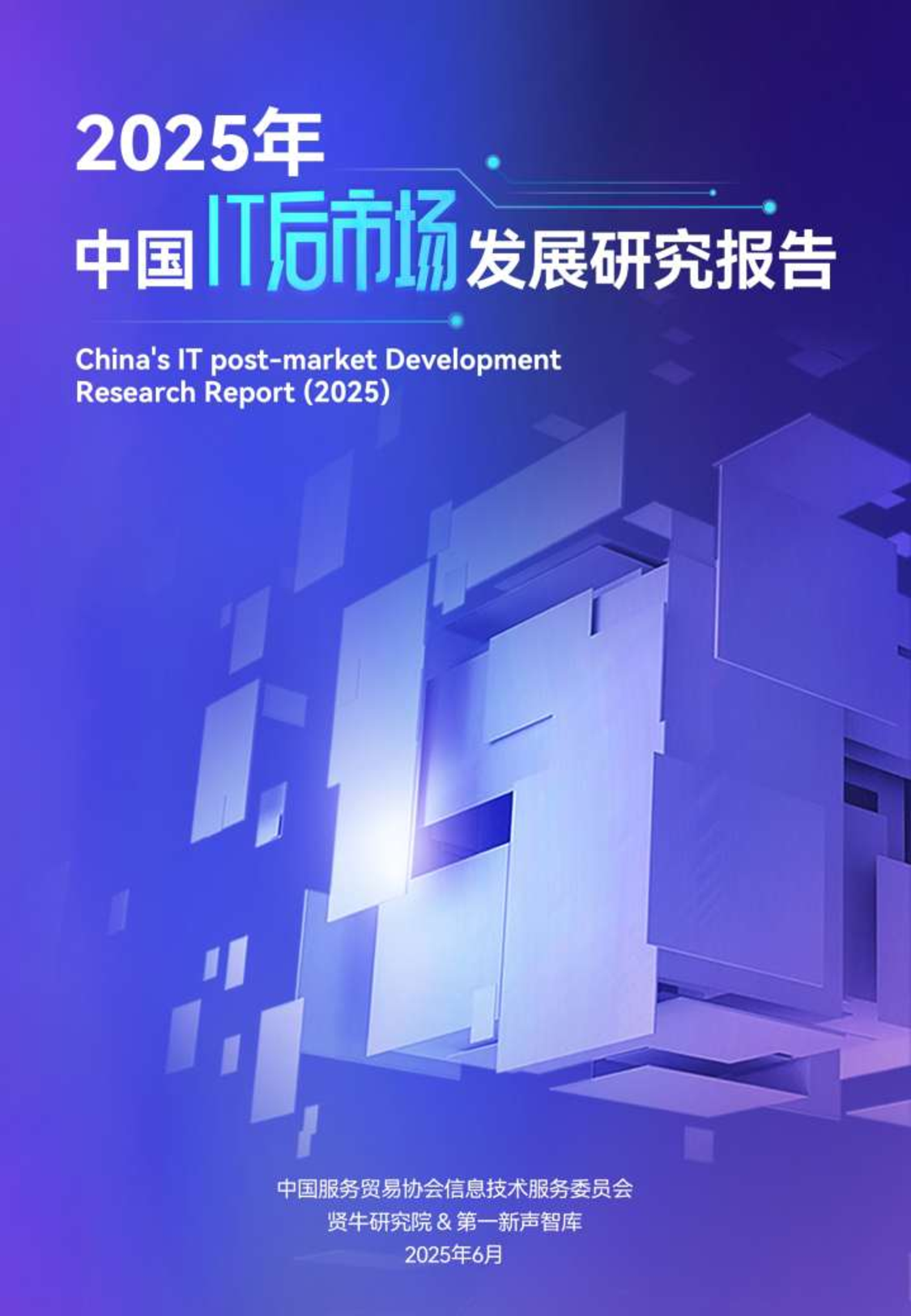 2025中国IT后市场发展研究报告 第1页
