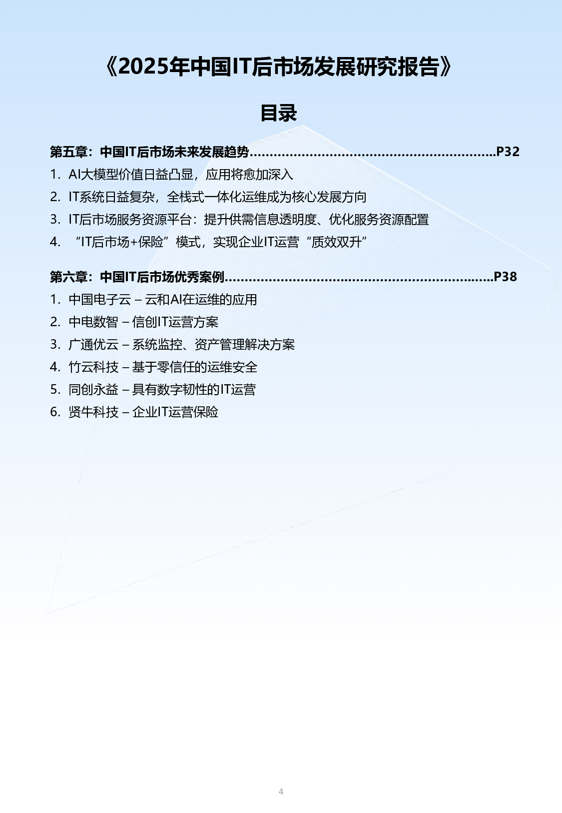 2025中国IT后市场发展研究报告 第4页