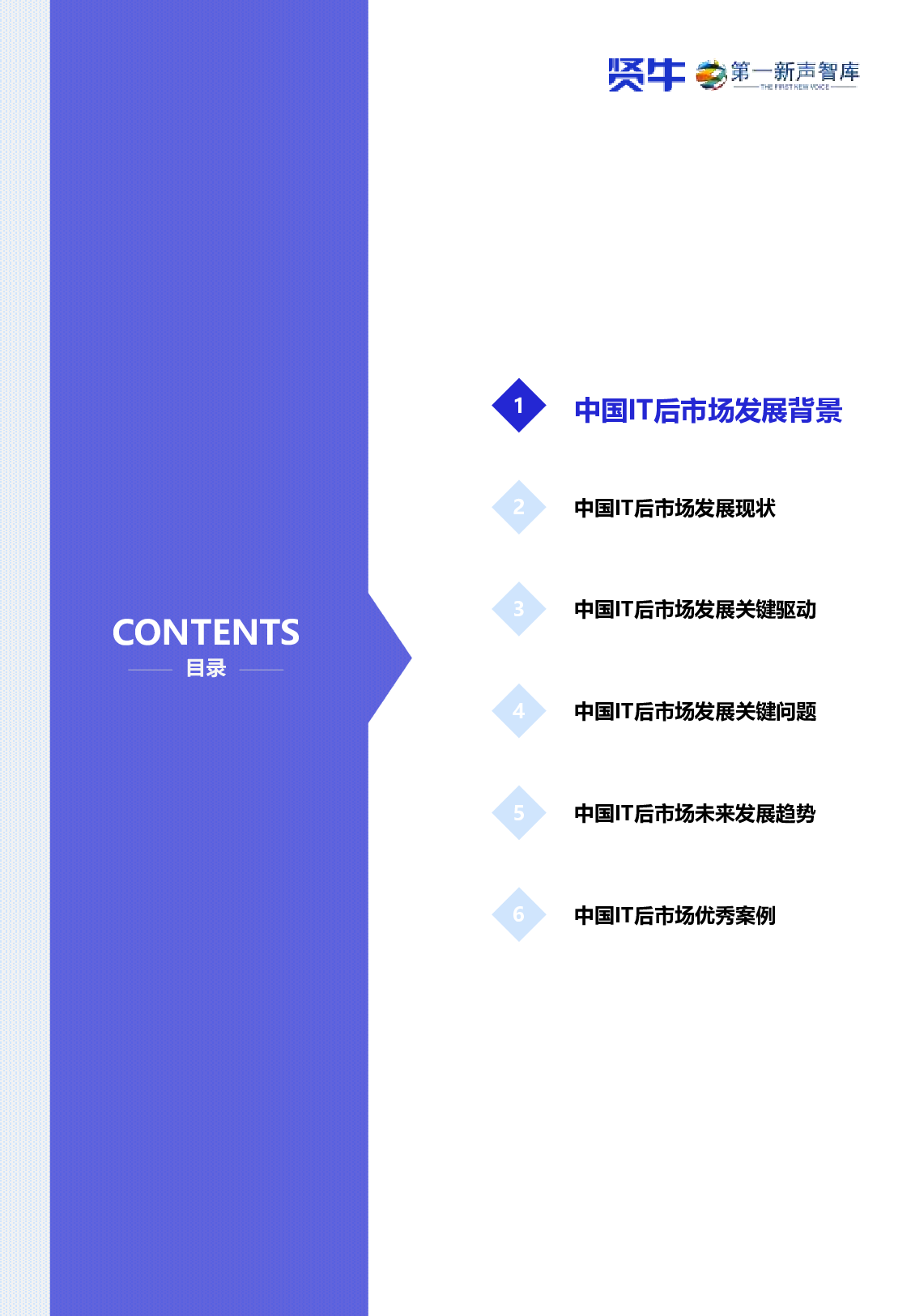 2025中国IT后市场发展研究报告 第5页