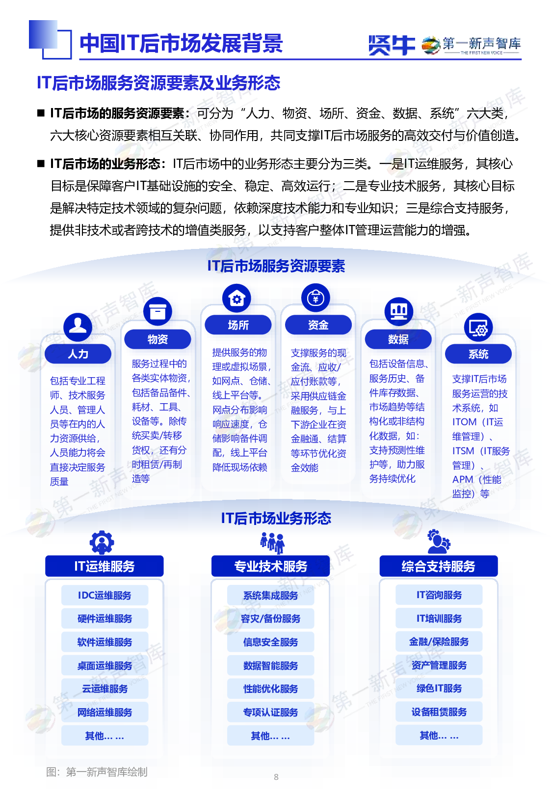 2025中国IT后市场发展研究报告 第9页